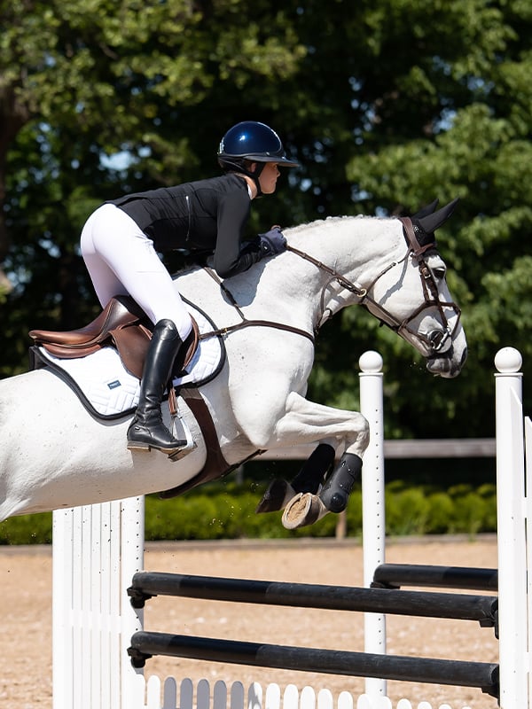 Anatomic Tendon Boots - Black