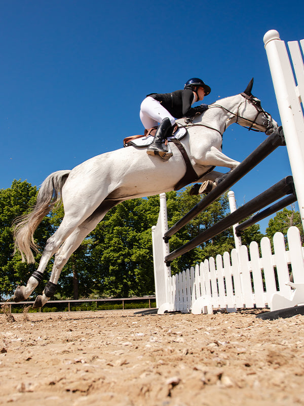 Anatomic Fetlock Boots - Black