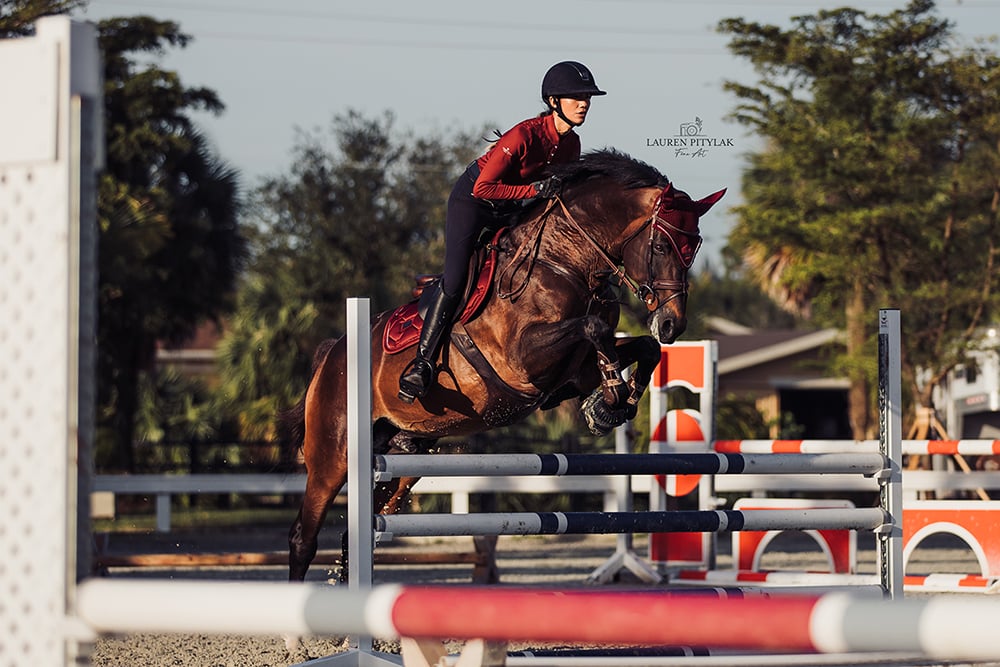 Jump Saddle Pad - Bordeaux