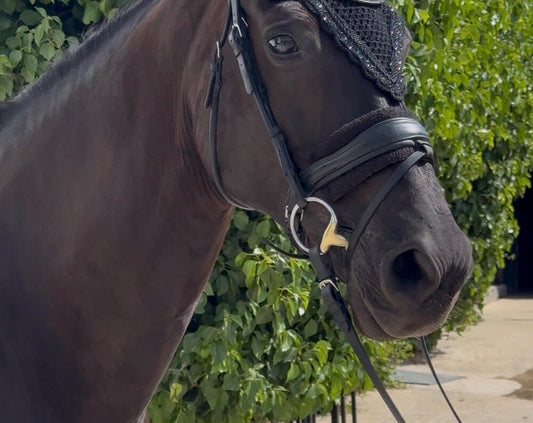 MIDNIGHT - SOUND PROOF